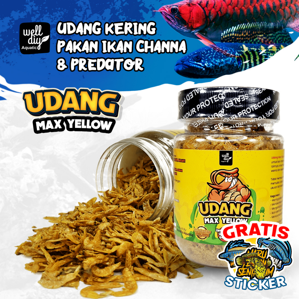 Udang Kering Yellow Pakan Ikan Chana MAX YELLOW Channa Predator Arowana Arwana Kura Kura - 30g