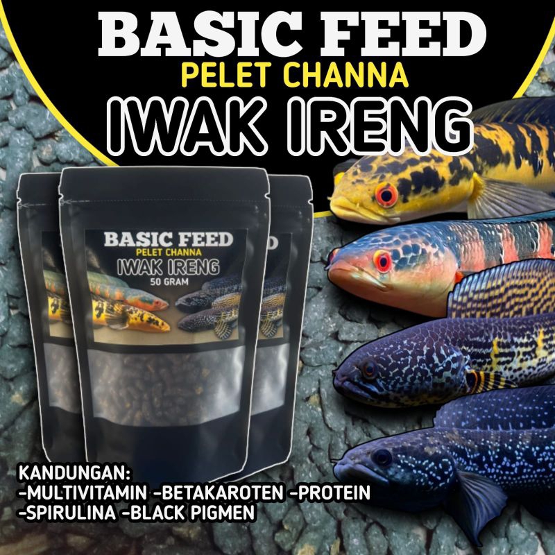 Pelet tenggelam iwak ireng pakan channa progresif bar dan warna hitam pada ikan channa maru yellow s