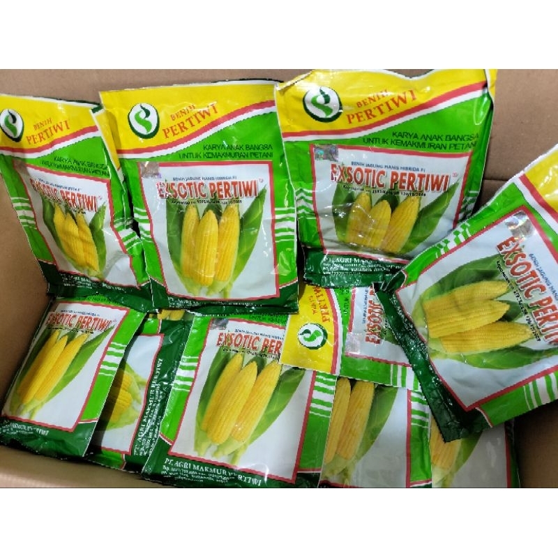 bibit jagung manis exotic pertiwi