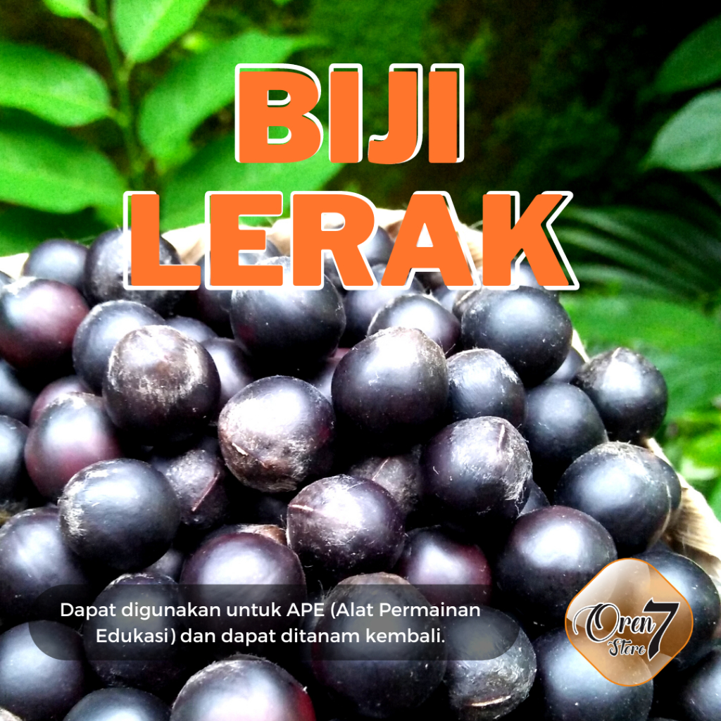 Biji Lerak 500gr