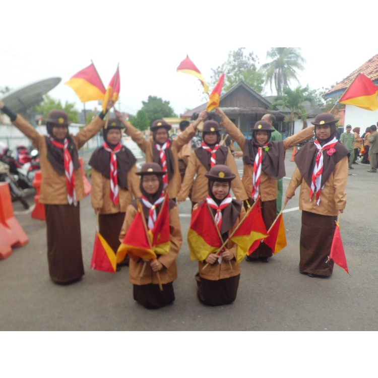 Sepasang Tongkat Stik Bendera Semaphore Semapur Pramuka 2 Pcs