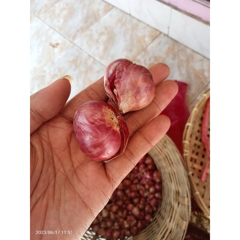 bawang merah asli probolinggo jatim