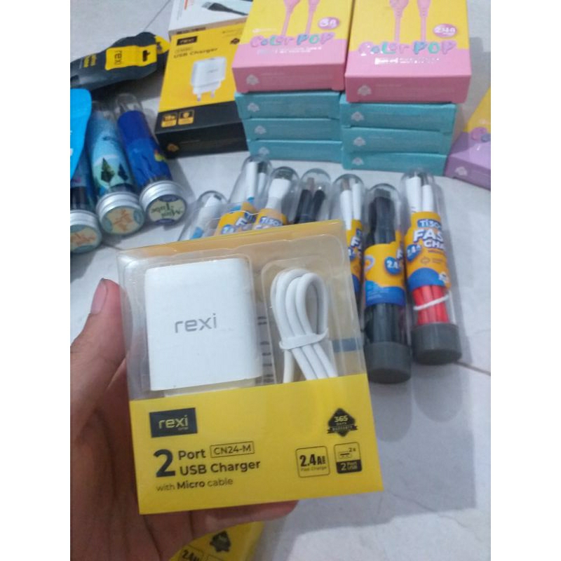 CHARGER REXI CN24-M