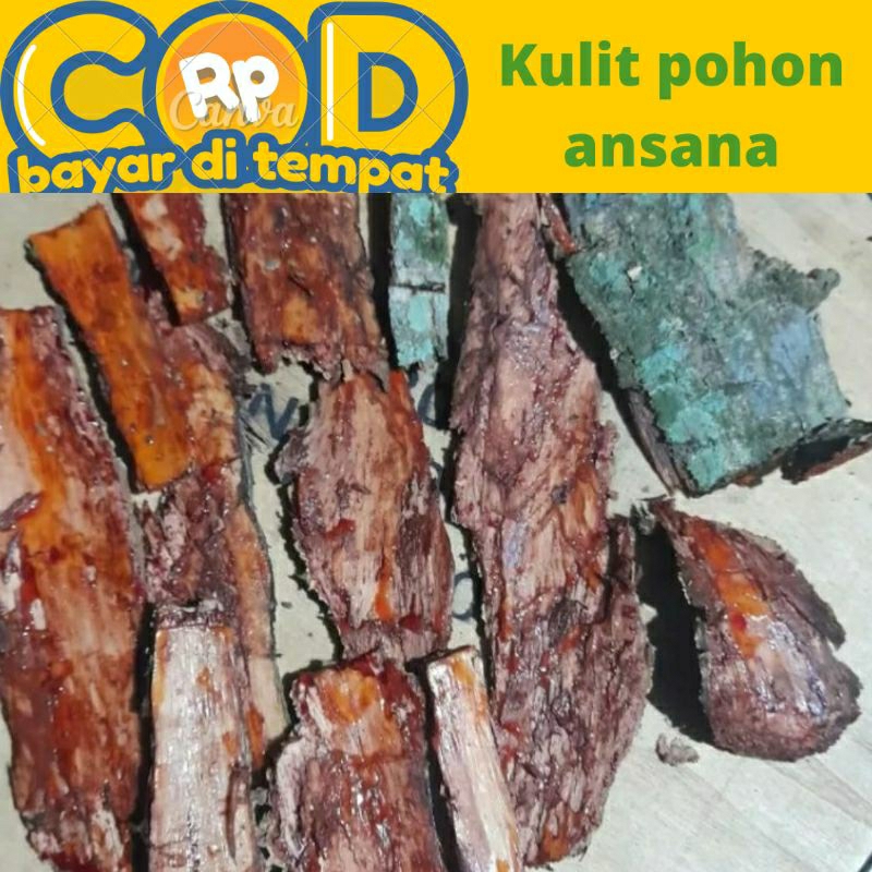 

kulit pohon Angsana/Sono diambil saat di pesan 100 gram