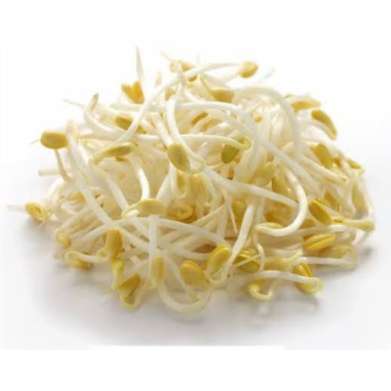 

tauge/ kecambah/ sayuran segar/ sayur fresh
