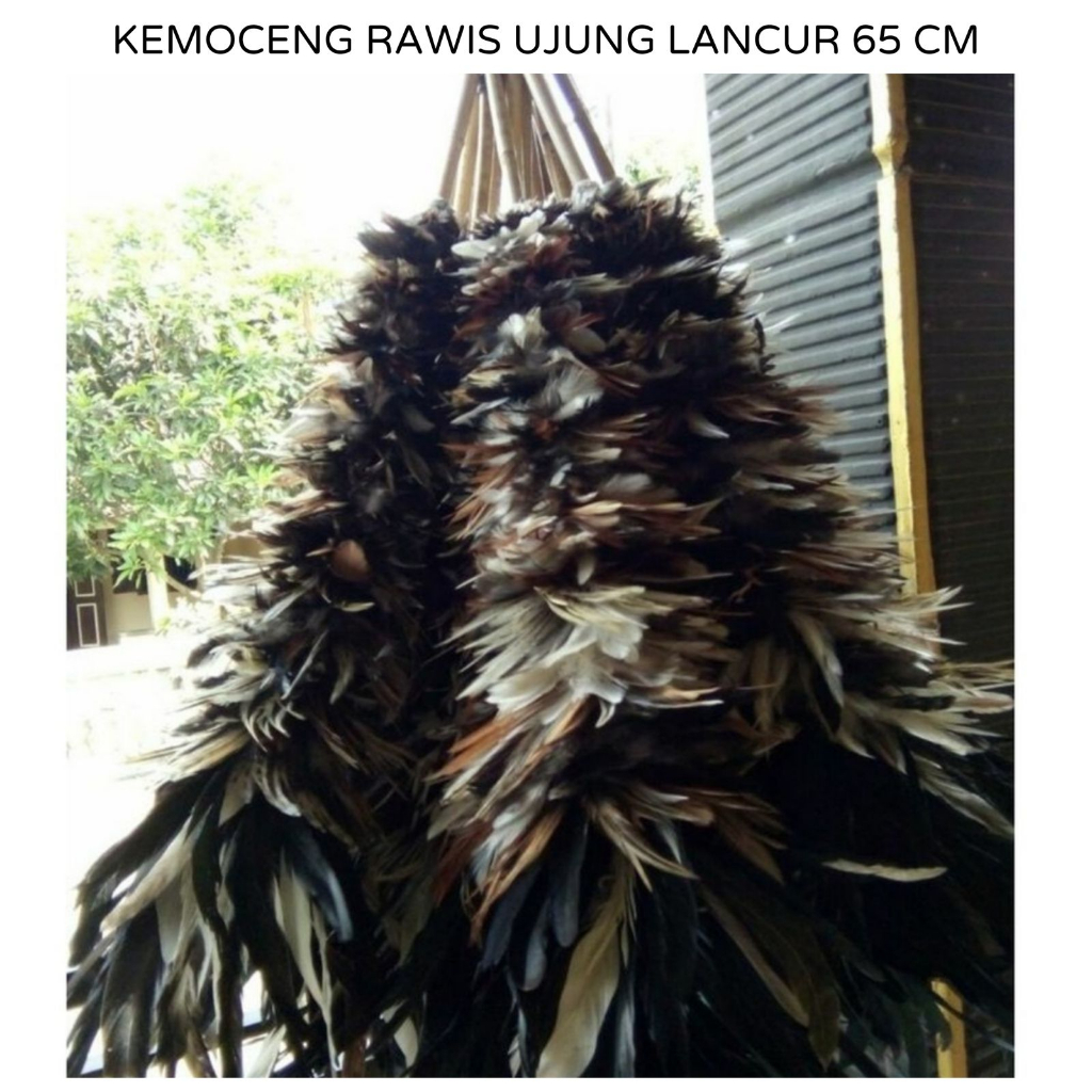 KEMOCENG BULU AYAM LANCUR KOMBINASI EKOR JAGO ASLI PANJANG 65CM - SULAK KEMOCENG BULU PEMBERSIH DEBU