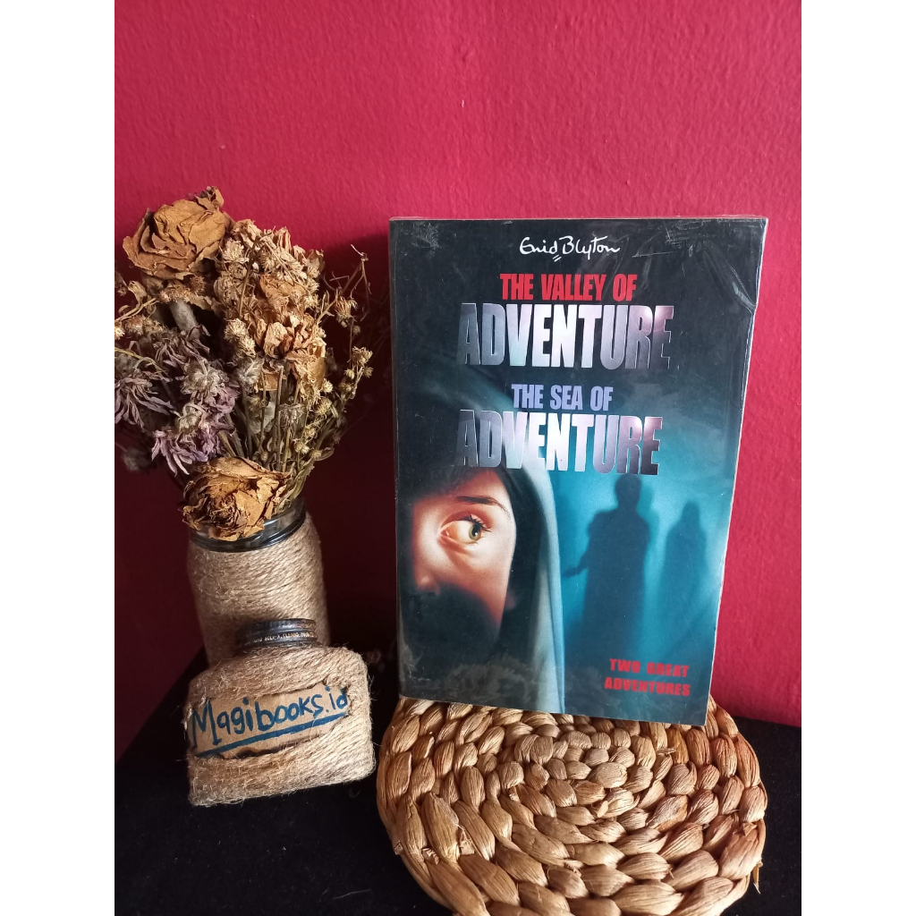 THE VALLEY OF ADVENTURE - THE SEA OF ADVENTURE - ENID BLYTON