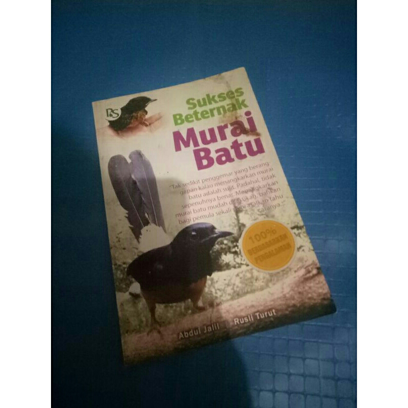 SUKSES BETERNAK MURAI BATU