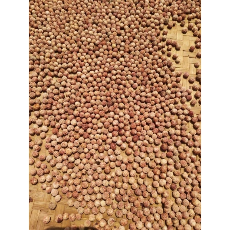 Biji bidara arab 1kg