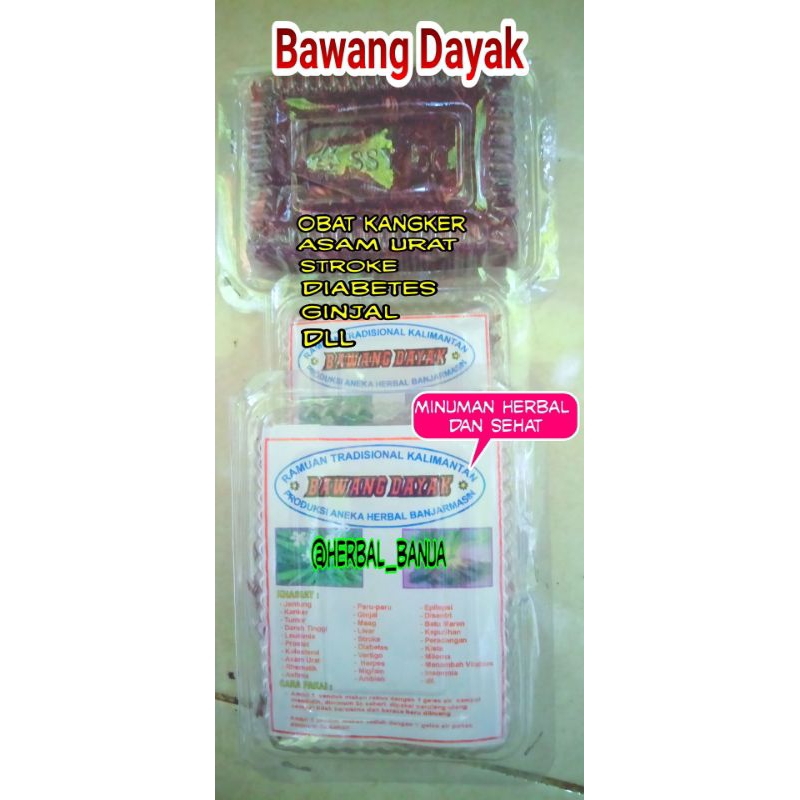 BAWANG DAYAK~Obat Stroke~( Ramuan Tradisional)