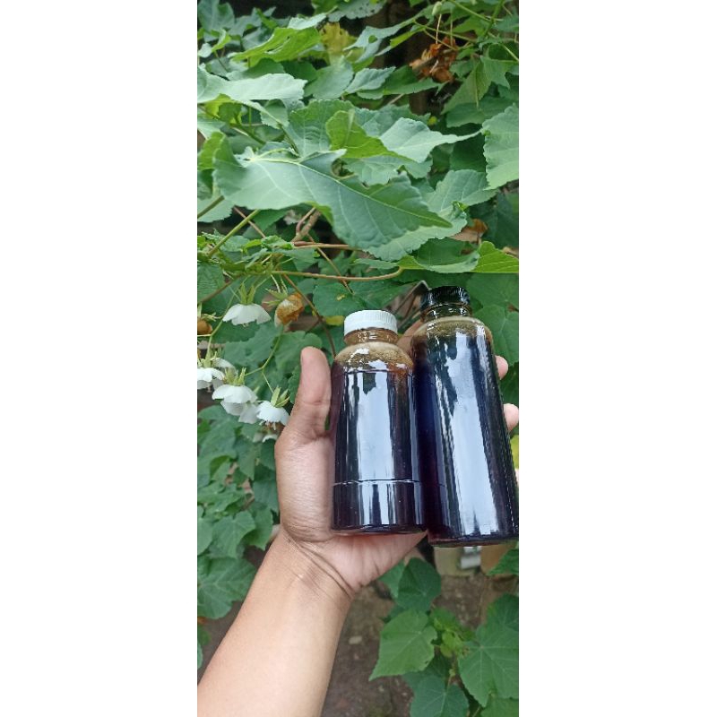 

madu akasia murni 100% asli hasil dari lebah budidaya netto 100ml