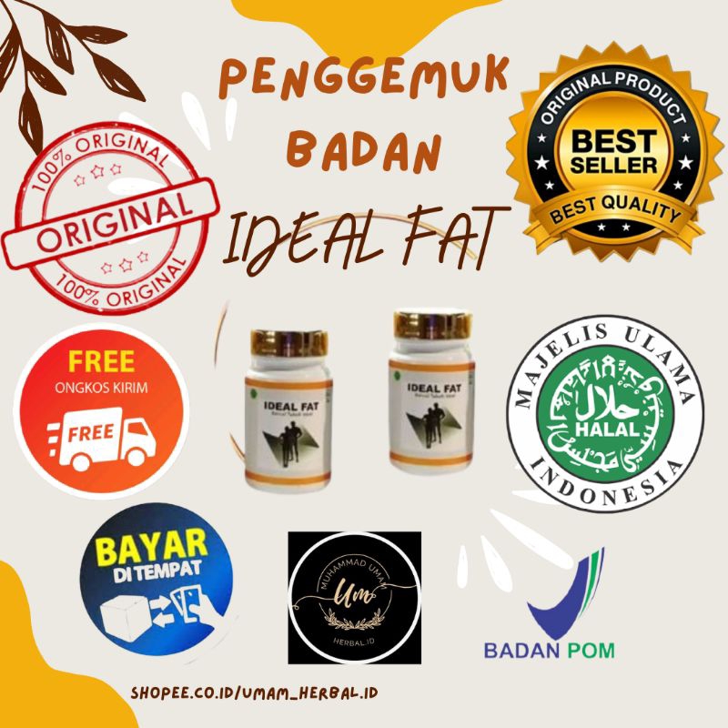 TERLARIS IDEAL FAT ISI 30 KAPSUL PENGGEMUK BADAN OBAT TERAMPUH 100% ORIGINAL