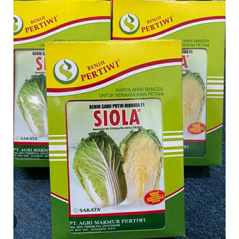 benih sawi putih siola 10 gram