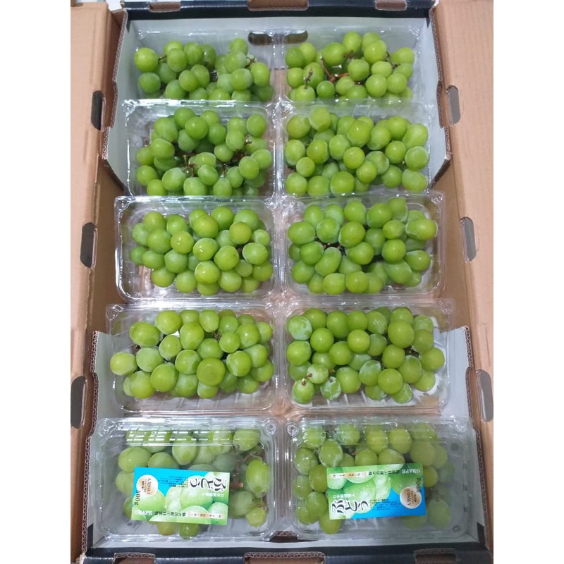 

Anggur Muscat 500Gram