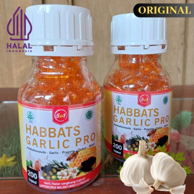 HABBATUSSAUDA GARLIC 5 IN 1 BHS ISI 200 KAPSUL