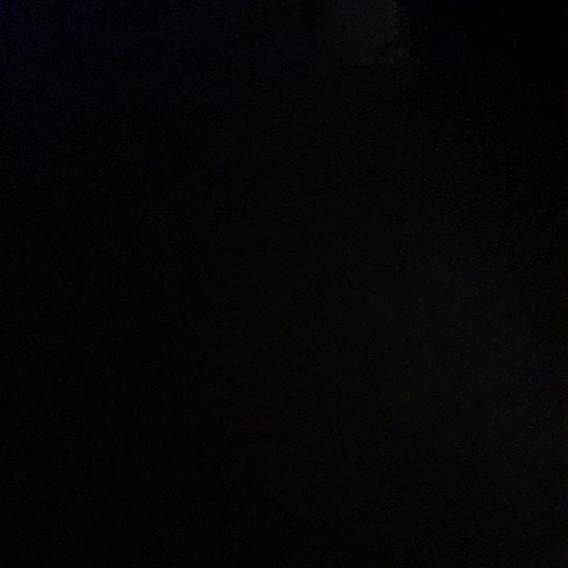 

(15 lembar) Daun Sirih Merah Segar