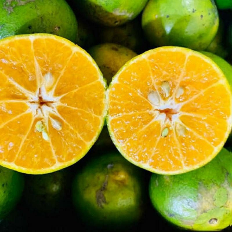 

jaruk siam madu grade A