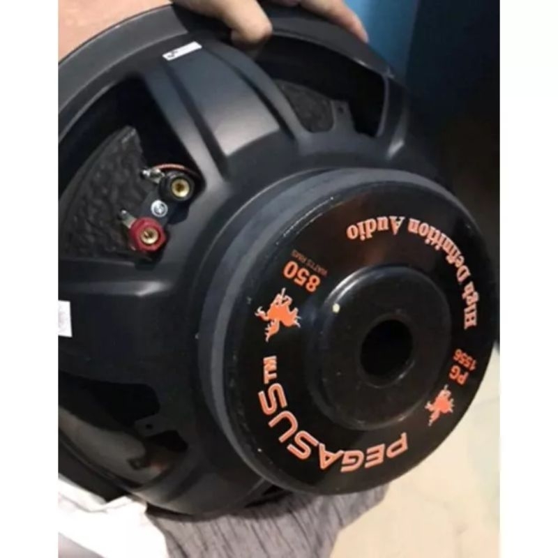 speaker subwoofer 15 inch pegasus