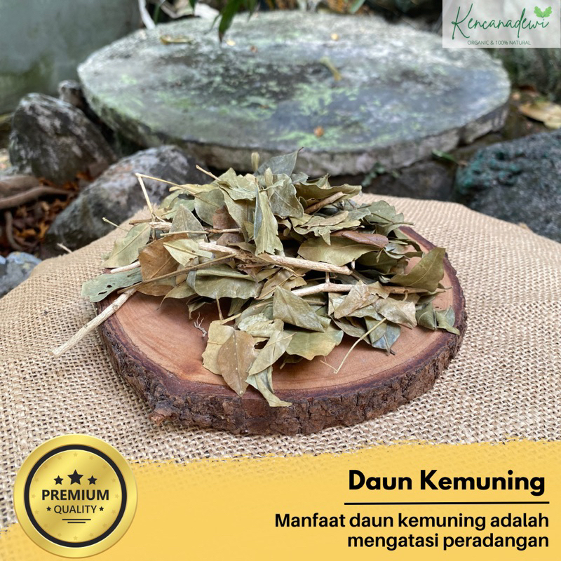 

DAUN KEMUNING KERING ASLI 1KG