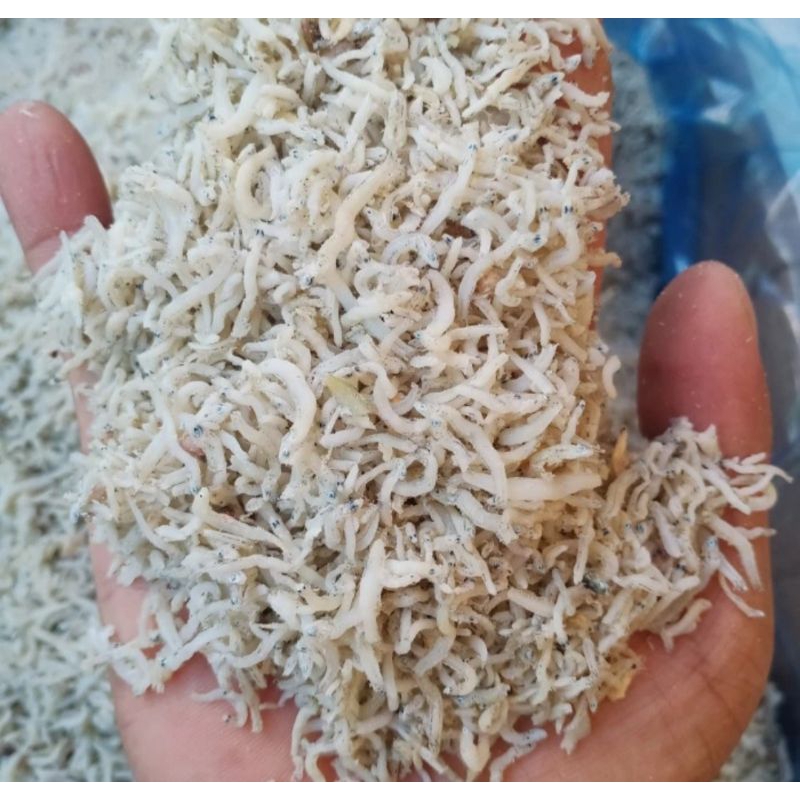 

ikan Asin TeriNasi Putih Kecil Bintik Medan 1 Kg Fresh