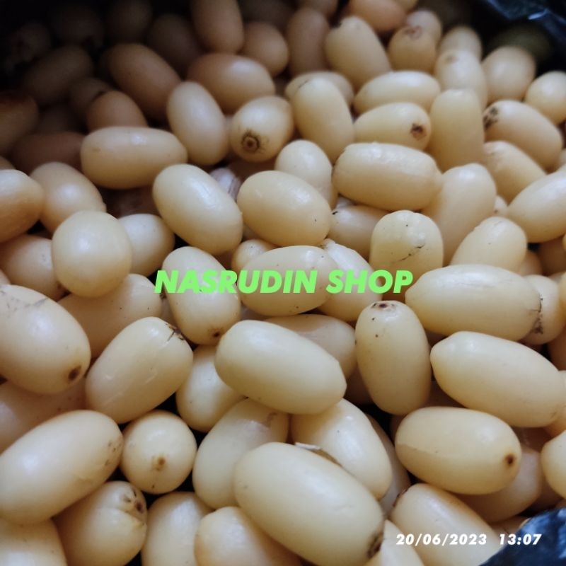 

MELINJO KUPAS BERSIH / BIJI MELINJO KUPAS / BIJI BUAH MELUNJO KUPAS BERSIH / BIJI MELINJO SUPER / MALINJO