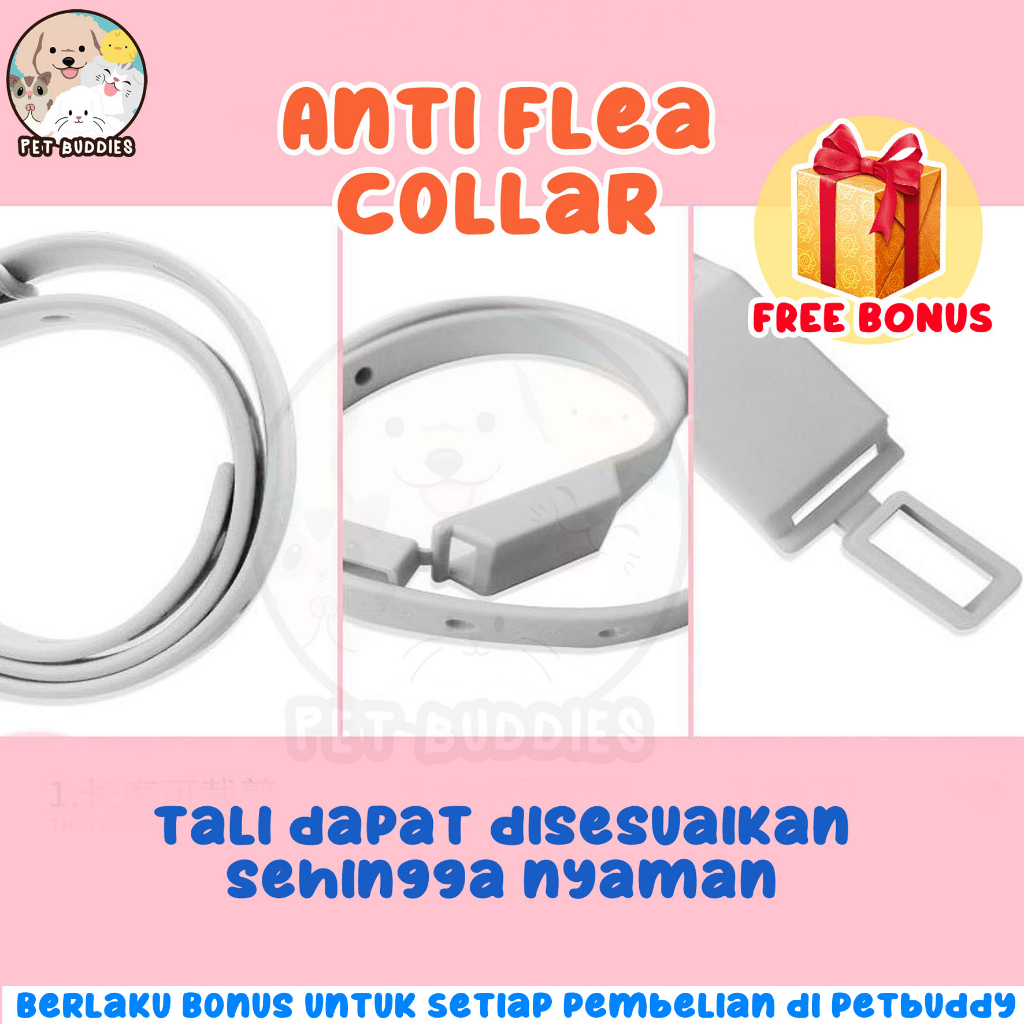 [FREE BONUS]Kalung Anti Kutu Cat Flea and Tick Collar Kucing dan Anjing