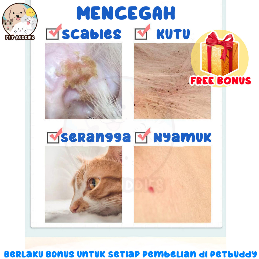 [FREE BONUS]Kalung Anti Kutu Cat Flea and Tick Collar Kucing dan Anjing