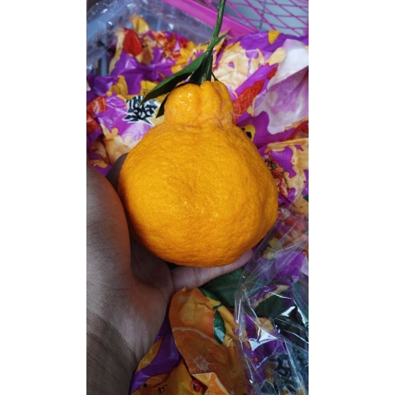 

jeruk dekopon chunjian xxxxl/ keranjang