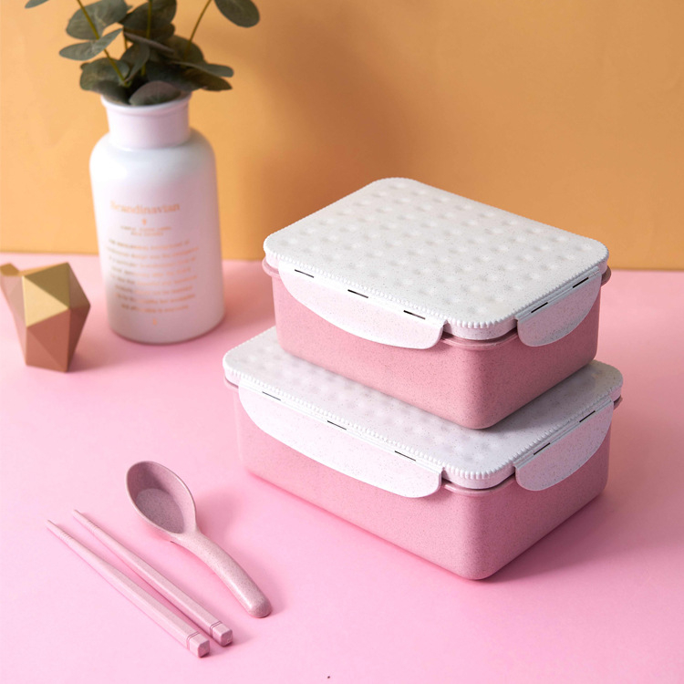 TOKO21 LUNCHBOX TERBARU KOTAK/KOTAK MAKAN KOTAK 2 SEKAT TERBARU 6156