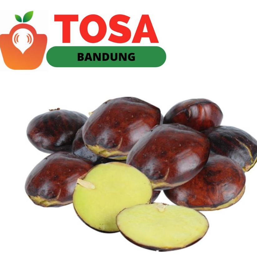 

Grosir Jengkol hemat