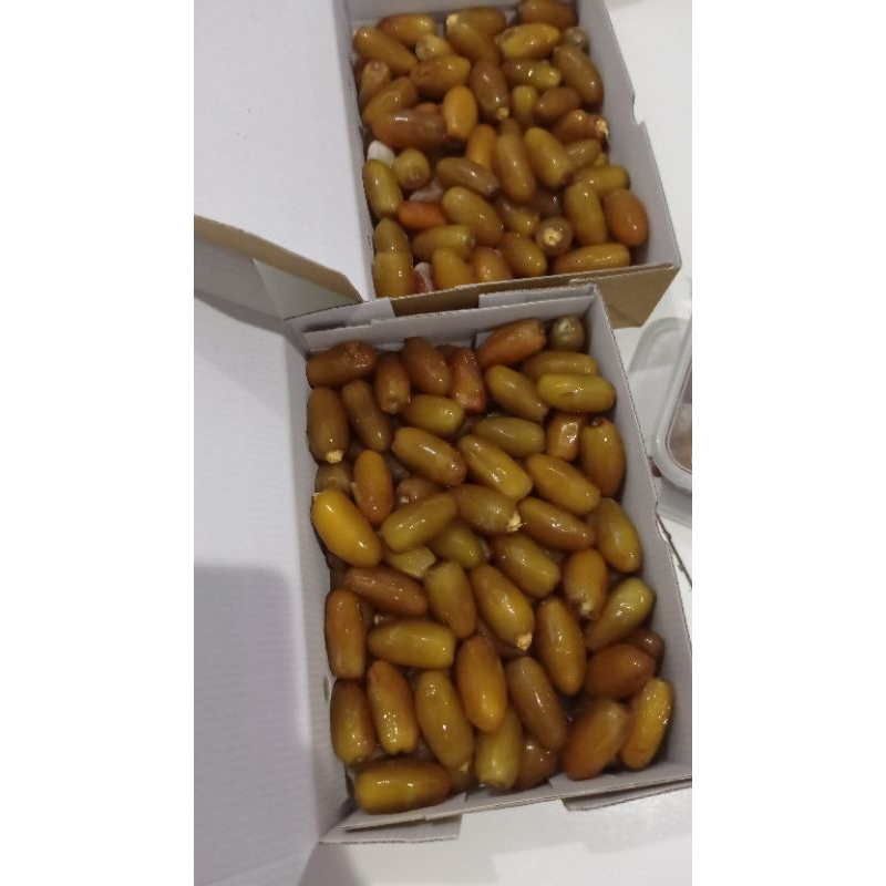 

kurma rutob libya