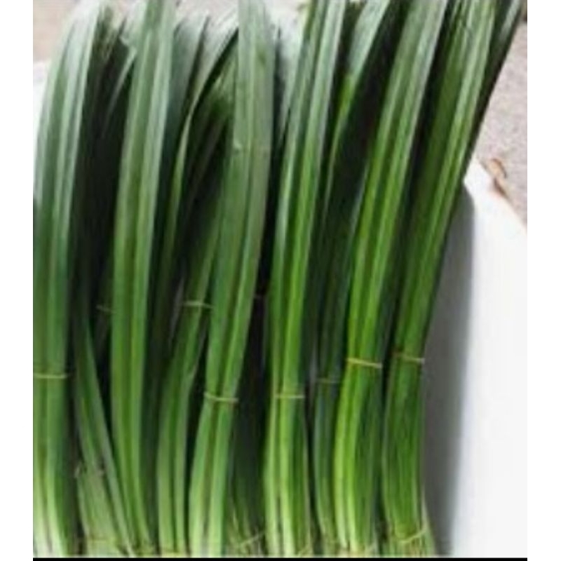 

Daun Pandan Rp.8.000 ( 500 Gram )