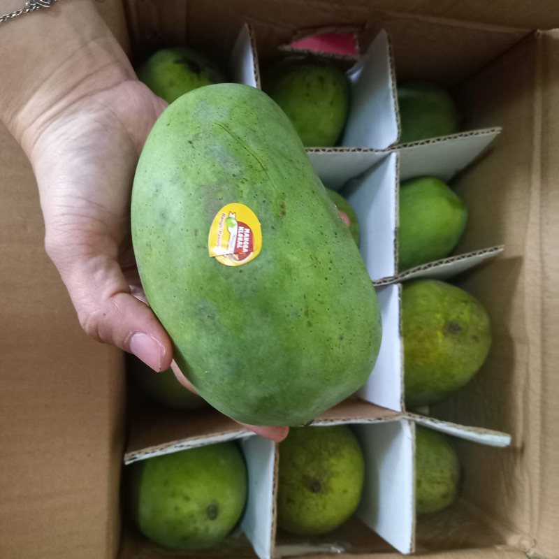 

Mangga