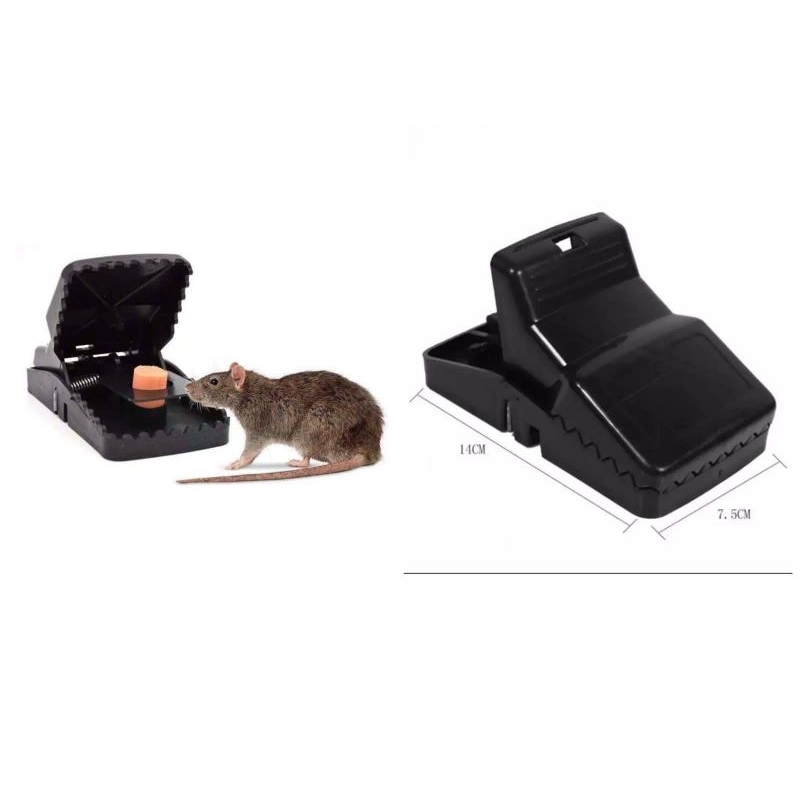 PERANGKAP JEBAKAN TIKUS
