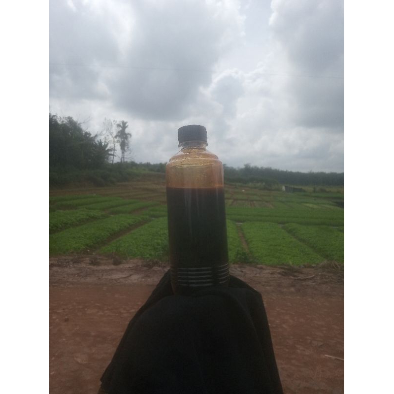 

Madu hitam pahit 500gram