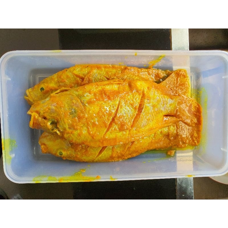 

ikannilagorengbumbukuning