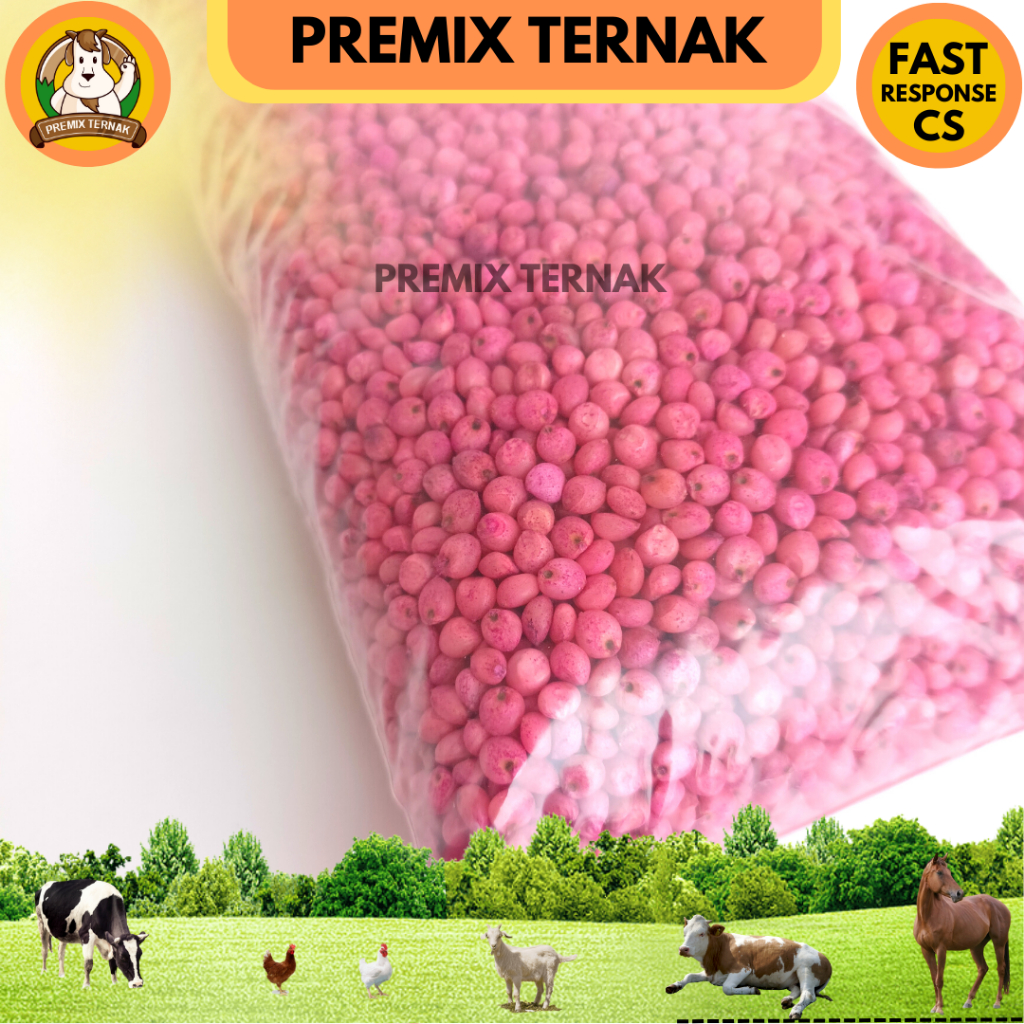 BENIH BIBIT SORGUM BIOGUMA 2 KEMASAN 1 KG - Benih Sorgum Bioguma - Biji Benih Sorghum