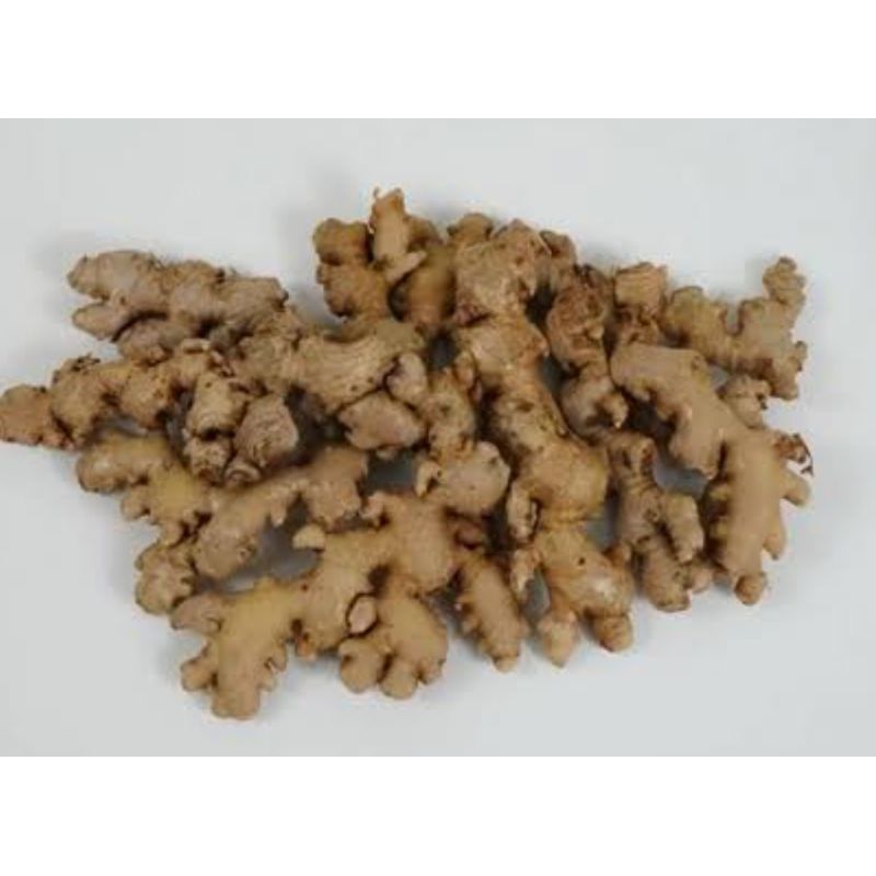 

Jahe emprit basah 1kg