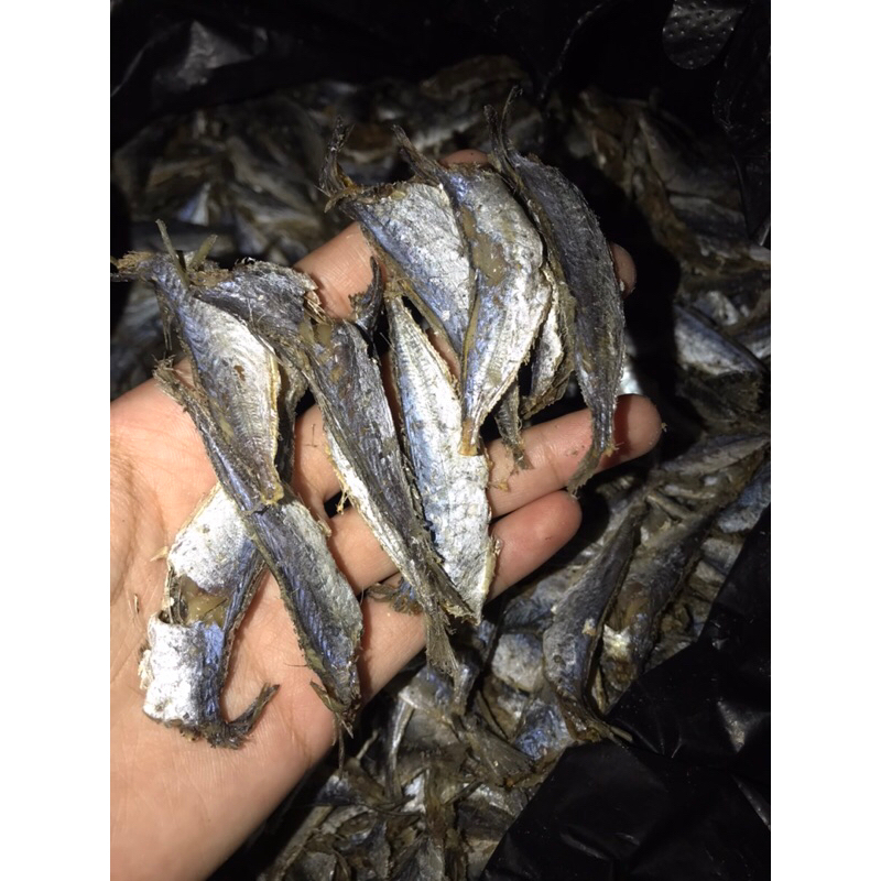 

IKAN ASIN LAYANG REBUS KUALITAS TERBAIK TERMURAH