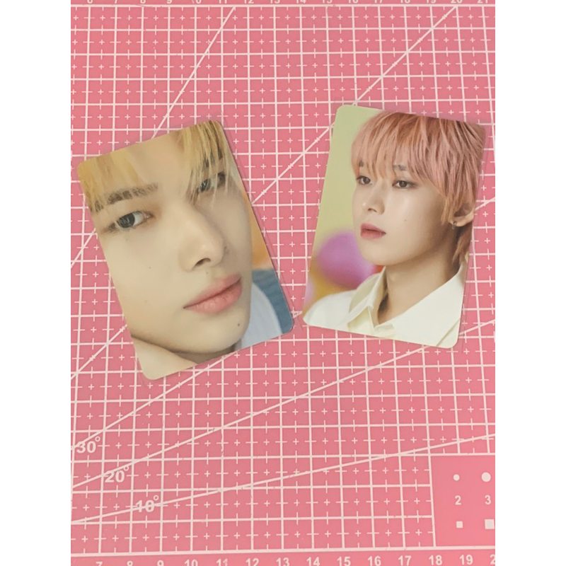 dicon sunoo Niki enhypen