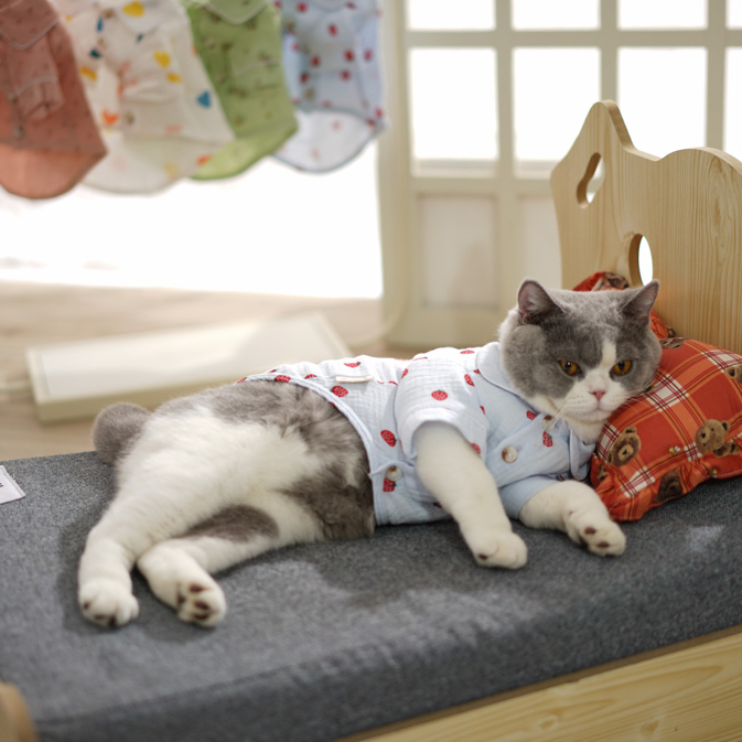 Pawlovin - Baju Piyama Kucing &amp; Anjing Homey Pajamas