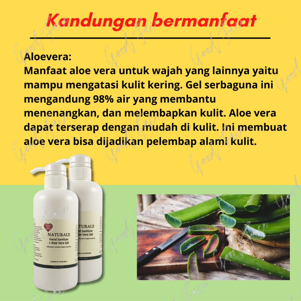 Hand Sanitizer + Aloe Vera Gel 500 ml