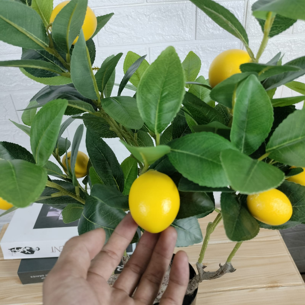 Azgalery / Pohon Buah Hias Artifical Lemon Tree Artifical Import Hiasan Pojok Rumah Aesthetic Hiasan Taman Fresh PBP171