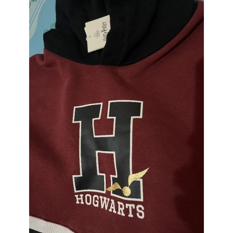 Hoodie Hogwarts (Harry Potter)