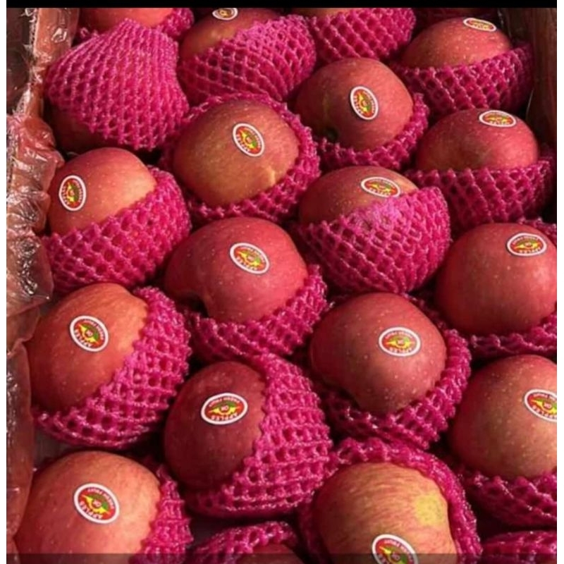 

APEL FUJI 1KG MURAH