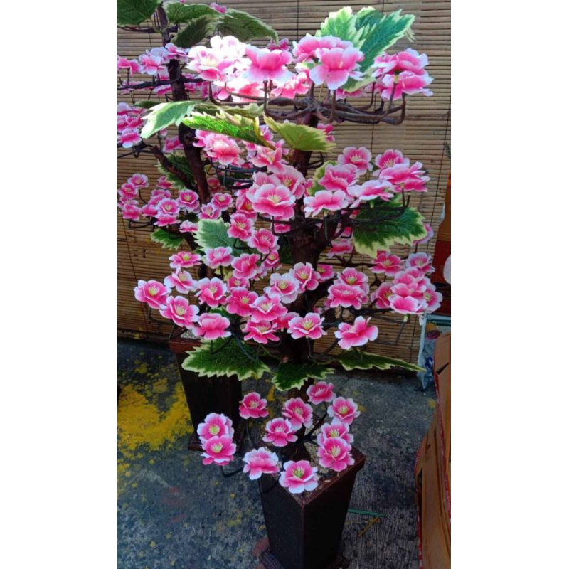 Bunga Sakura / Bunga Semanggi / Bunga Sudut Cakar Mawar 120cm / Bunga Sudut / Hiasan Rumah/ Artifici