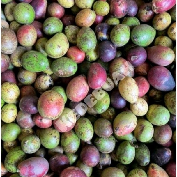 

Buah Matoa