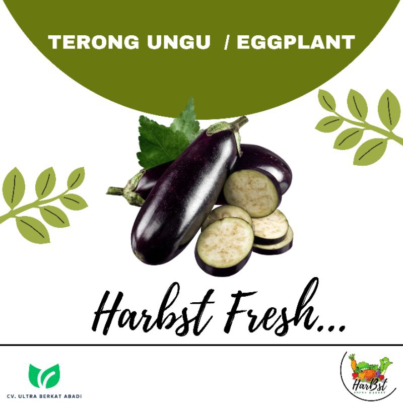 

Terong ungu / Eggplant