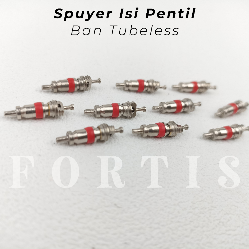 Spuyer Isi Pentil Ban Tubeless