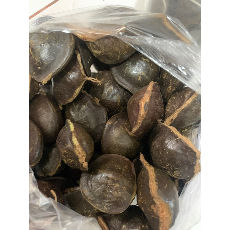 

jengkol